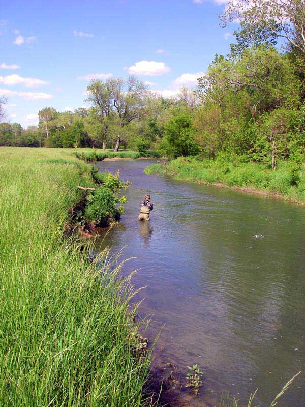 Conn's Creek