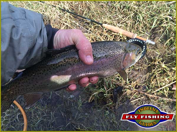 Ed Devine with a Brookville Tailwater rainbow trout