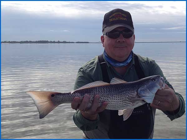 Jeff Conrad with a Tampa Bay Redfish caught flyfishing in January 2015