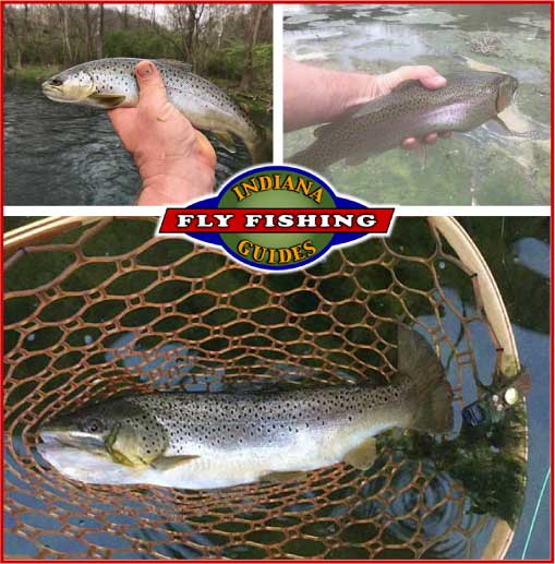 Brookville trout flyfishing