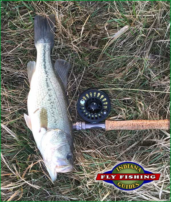 Indianapolis Spring pond bass