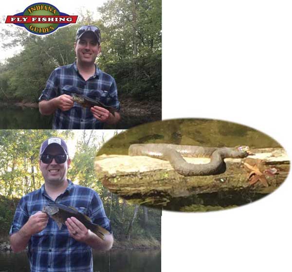 Indiana White River flyfishing