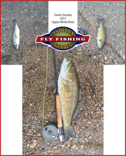 White river smallmouth bass